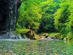 -西岭雪山大飞水景区