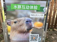 -宁波野生动物园