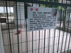 -甘棠公园