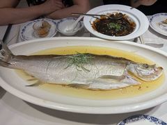 -席家花园(巨鹿花园店)