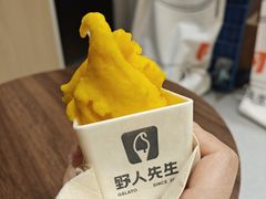 -野人先生现做冰淇淋(贵阳万象汇店)