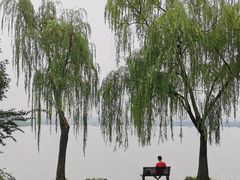 -苏堤停车场
