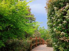-上海吴淞炮台湾国家湿地公园