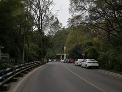 -南山植物园