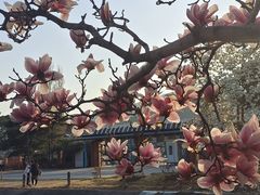 -国家植物园南园