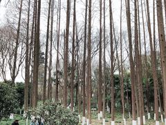 -上海方塔园