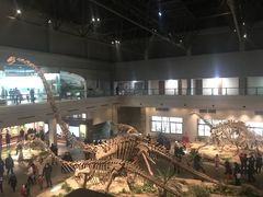 -自贡恐龙博物馆