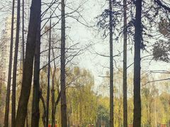 -温江公园