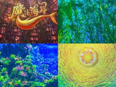 -海合安天津极地海洋公园