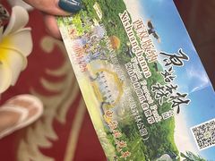-西双版纳原始森林公园