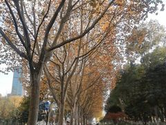 -后襄河公园
