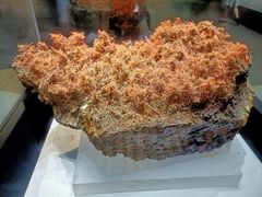 -湖南省地质博物馆