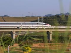 -光明小镇欢乐田园