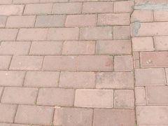 -网鱼电竞(广州百脑汇店)