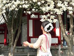 -大慈恩寺(大雁塔)