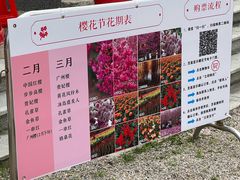 -天适樱花悠乐园