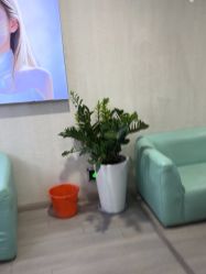 -安徽合肥韩美整形外科医院