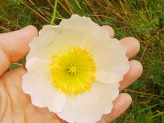 -名花谷生态庄园