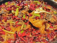 -老板恋上鱼(恒隆广场店)