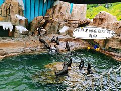 -杭州长乔极地海洋公园