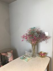 -Daisy Beauty lab日式美甲美睫