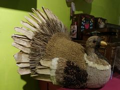 -恋物百货商店(华侨城店)