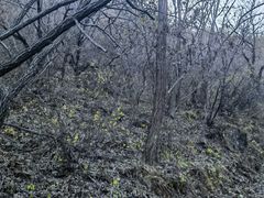 -云峰山自然风景区