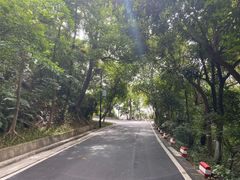 -广州市白云山风景名胜区