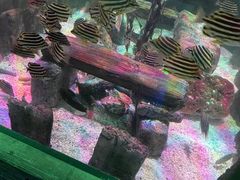 -沈阳海洋探索中心