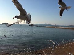 -老味道民宿(栈桥店)