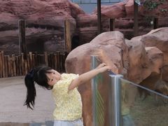 -福州罗源湾海洋世界旅游区