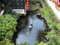 -北园酒家(小北路店)