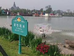 -荷兰花海