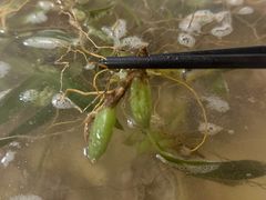 -潮陈记土鸡火锅(东厦北路店)