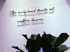 -red donkey coffee