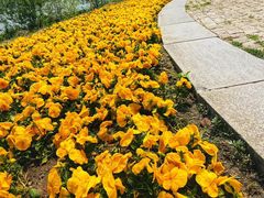 -门城湖公园