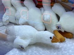 -可爱抓 COCO  GOTCHA(天津鹏欣水游城店)