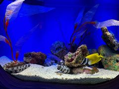 -上海海洋水族馆