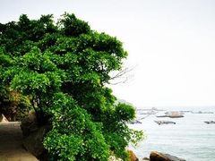 -东澳岛