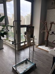 -一个差评成就的纹眉店