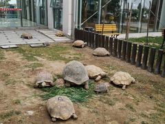 -武清南湖绿博园