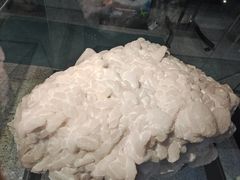 -河南自然博物馆