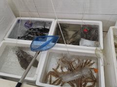 -红灯笼龙凤饭店(宁波老字号店)