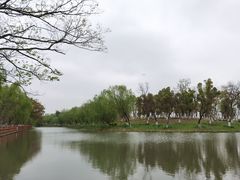 -九科绿洲