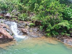 -广州白江湖森林公园