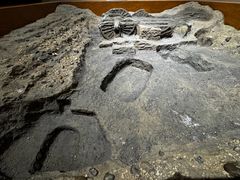 -洛阳周王城天子驾六博物馆