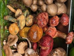 -一坐一忘云南菜(卓悦中心)