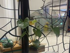 -眉州东坡(鸿坤店)