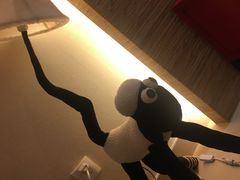 -太阳岛度假酒店