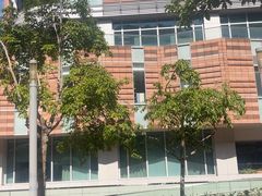 -香港大学